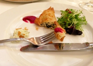 Stephen_Anderson_Seu_Xerea_samosas_abiertas